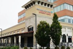 Top Dog Day Care in Chestnut Hill MA: Best Options My Caring Dog – Tips, Stories, and Care Guides for Loving Pet Owners Top Dog Day Care in Chestnut Hill MA: Best Options | My Caring Dog – Tips, Stories, and Care Guides for Loving Pet Owners