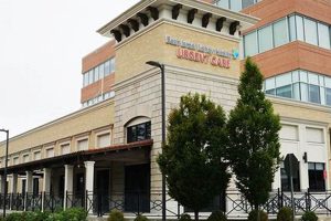 Top Dog Day Care in Chestnut Hill MA: Best Options My Caring Dog – Tips, Stories, and Care Guides for Loving Pet Owners Top Dog Day Care in Chestnut Hill MA: Best Options | My Caring Dog – Tips, Stories, and Care Guides for Loving Pet Owners