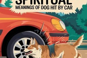 Dog-Car Accidents: Spiritual Meaning & Healing | My Caring Dog – Tips, Stories, and Care Guides for Loving Pet Owners