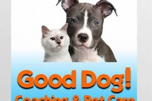 Top Good Dog Coaching & Pet Care LLC Services | My Caring Dog – Tips, Stories, and Care Guides for Loving Pet Owners