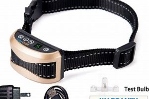 Fix Dog Training Collar Not Charging Issues: Top Tips | My Caring Dog – Tips, Stories, and Care Guides for Loving Pet Owners