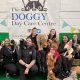 Best Dog Day Care in Whitley Bay | Top Kennels | My Caring Dog – Tips, Stories, and Care Guides for Loving Pet Owners
