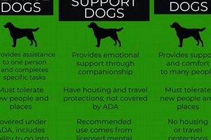 Find Your Perfect ESA Dog Near You | My Caring Dog – Tips, Stories, and Care Guides for Loving Pet Owners