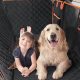 Best Dog Car Seat Covers at Costco: Top Picks & Deals | My Caring Dog – Tips, Stories, and Care Guides for Loving Pet Owners