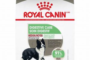 Best Royal Canin Medium Digestive Care: A Guide | My Caring Dog – Tips, Stories, and Care Guides for Loving Pet Owners