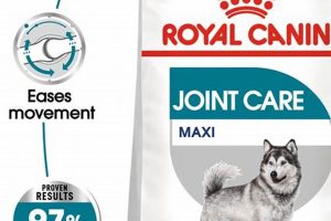 Best Royal Canin Joint Care Wet Dog Food for Mobility | My Caring Dog – Tips, Stories, and Care Guides for Loving Pet Owners