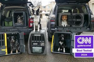 Dog Car Crate Crash Tested | My Caring Dog – Tips, Stories, and Care Guides for Loving Pet Owners
