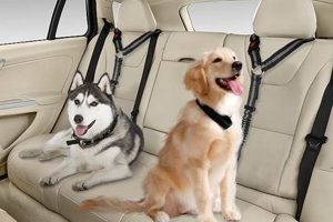 Best Large Dog Car Seat Belts: Safe & Secure | My Caring Dog – Tips, Stories, and Care Guides for Loving Pet Owners