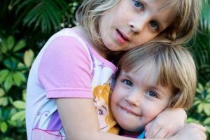 Find Car Dog Companions at Companions.com | My Caring Dog – Tips, Stories, and Care Guides for Loving Pet Owners