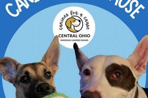 Heroic Canines with a Cause: Car Dog Edition My Caring Dog – Tips, Stories, and Care Guides for Loving Pet Owners Heroic Canines with a Cause: Car Dog Edition | My Caring Dog – Tips, Stories, and Care Guides for Loving Pet Owners