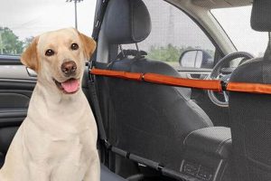Top Pet Car Dividers for Safe Dog Travel | My Caring Dog – Tips, Stories, and Care Guides for Loving Pet Owners