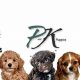 Best P and K Puppy Products for Car Dogs | My Caring Dog – Tips, Stories, and Care Guides for Loving Pet Owners