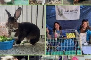 Best Animal Sanctuaries in Chicago, IL My Caring Dog – Tips, Stories, and Care Guides for Loving Pet Owners Best Animal Sanctuaries in Chicago, IL | My Caring Dog – Tips, Stories, and Care Guides for Loving Pet Owners