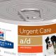 Best Prescription Diet for Urgent Dog Food Care | My Caring Dog – Tips, Stories, and Care Guides for Loving Pet Owners