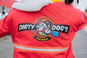 Dirty Dog's Car Wash Services | My Caring Dog – Tips, Stories, and Care Guides for Loving Pet Owners