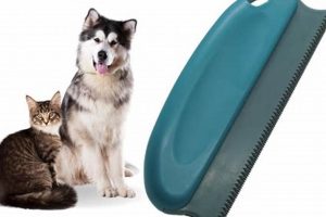 Best Dog Hair Remover for Car: Top Picks & Guide My Caring Dog – Tips, Stories, and Care Guides for Loving Pet Owners Best Dog Hair Remover for Car: Top Picks & Guide | My Caring Dog – Tips, Stories, and Care Guides for Loving Pet Owners