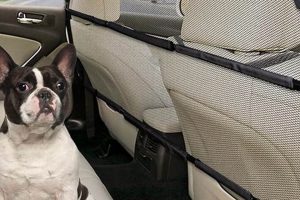 Best Dog Car Barriers for Back Seat Safety | My Caring Dog – Tips, Stories, and Care Guides for Loving Pet Owners