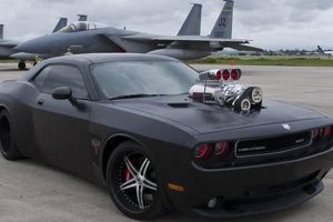 Doge Car My Caring Dog – Tips, Stories, and Care Guides for Loving Pet Owners Doge Car | My Caring Dog – Tips, Stories, and Care Guides for Loving Pet Owners