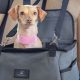 Top CPS Certified Dog Car Seats for Safe Travels | My Caring Dog – Tips, Stories, and Care Guides for Loving Pet Owners