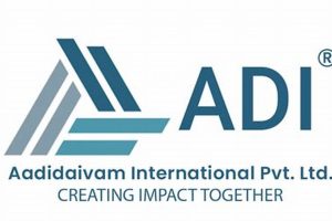 Top Adi International Car Dog Accessories | My Caring Dog – Tips, Stories, and Care Guides for Loving Pet Owners