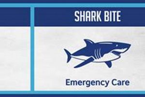 Dog Bite: Urgent Care or ER? Guide | My Caring Dog – Tips, Stories, and Care Guides for Loving Pet Owners