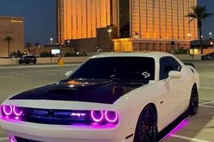 Best Doge Car Wash: Much Clean, Very Shine! | My Caring Dog – Tips, Stories, and Care Guides for Loving Pet Owners