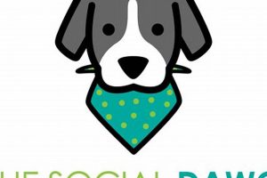 The Social Dawg | My Caring Dog – Tips, Stories, and Care Guides for Loving Pet Owners