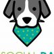 The Social Dawg | My Caring Dog – Tips, Stories, and Care Guides for Loving Pet Owners