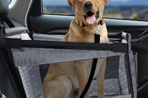 Best Dog Car Seats & Carriers: Safe Travel | My Caring Dog – Tips, Stories, and Care Guides for Loving Pet Owners
