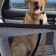 Best Dog Car Seats & Carriers: Safe Travel | My Caring Dog – Tips, Stories, and Care Guides for Loving Pet Owners