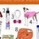 Essential Things Your Car Dog Needs | My Caring Dog – Tips, Stories, and Care Guides for Loving Pet Owners
