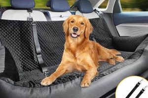 Top 7 Cars for Big Dogs: Breed & Size Guide | My Caring Dog – Tips, Stories, and Care Guides for Loving Pet Owners