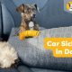 Best Tips for Dog Car Sickness Relief | My Caring Dog – Tips, Stories, and Care Guides for Loving Pet Owners