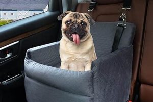 Best Raised Dog Car Seats: Safe & Comfy | My Caring Dog – Tips, Stories, and Care Guides for Loving Pet Owners