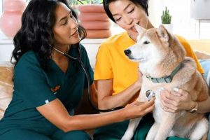 Top Dog Care Centers Near You | Local & Trusted | My Caring Dog – Tips, Stories, and Care Guides for Loving Pet Owners