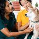 Top Dog Care Centers Near You | Local & Trusted | My Caring Dog – Tips, Stories, and Care Guides for Loving Pet Owners