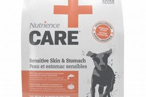 Best Nutrience Care Dog Food for Picky Eaters | My Caring Dog – Tips, Stories, and Care Guides for Loving Pet Owners
