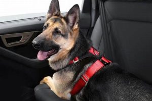 Best XL Dog Car Harnesses for Safe Travels My Caring Dog – Tips, Stories, and Care Guides for Loving Pet Owners Best XL Dog Car Harnesses for Safe Travels | My Caring Dog – Tips, Stories, and Care Guides for Loving Pet Owners