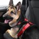 Best XL Dog Car Harnesses for Safe Travels | My Caring Dog – Tips, Stories, and Care Guides for Loving Pet Owners