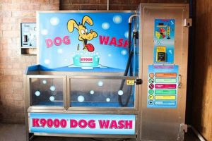 Action Jackson Car & Dog Wash | My Caring Dog – Tips, Stories, and Care Guides for Loving Pet Owners