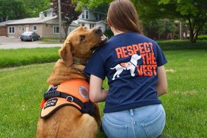 Your Guide to Service Dogs in Illinois | My Caring Dog – Tips, Stories, and Care Guides for Loving Pet Owners