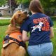 Your Guide to Service Dogs in Illinois | My Caring Dog – Tips, Stories, and Care Guides for Loving Pet Owners