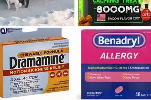 Best Dog Meds for Car Sickness: Vet Guide | My Caring Dog – Tips, Stories, and Care Guides for Loving Pet Owners