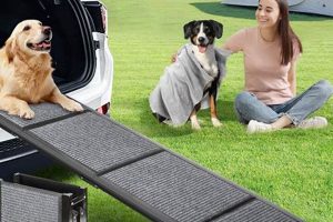Dog Ramps For Cars | My Caring Dog – Tips, Stories, and Care Guides for Loving Pet Owners