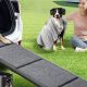 Dog Ramps For Cars | My Caring Dog – Tips, Stories, and Care Guides for Loving Pet Owners