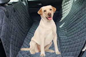 Dog Car Mats | My Caring Dog – Tips, Stories, and Care Guides for Loving Pet Owners