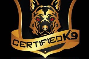 Top Certified K9 Units: Car Dog Protection | My Caring Dog – Tips, Stories, and Care Guides for Loving Pet Owners