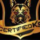 Top Certified K9 Units: Car Dog Protection | My Caring Dog – Tips, Stories, and Care Guides for Loving Pet Owners