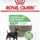 Best Royal Canin Digestive Care for Small Dogs | My Caring Dog – Tips, Stories, and Care Guides for Loving Pet Owners