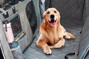Best Dog Hammocks for Car Travel in 2024 | My Caring Dog – Tips, Stories, and Care Guides for Loving Pet Owners
